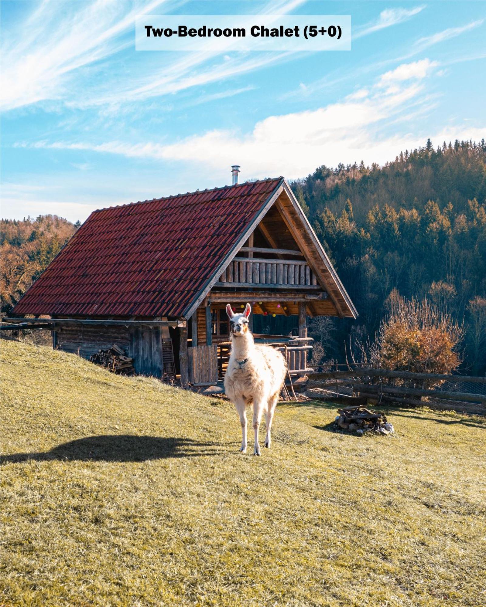 Гостевой дом Ranch At Geta Razgorce Номер фото
